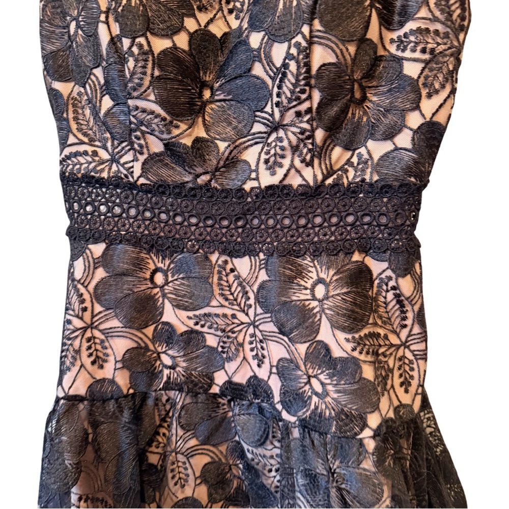 Blondie Nites Elegant Black and cream floral‎ Lace fit & flare, Mini Dress NWOT - Picture 8 of 9